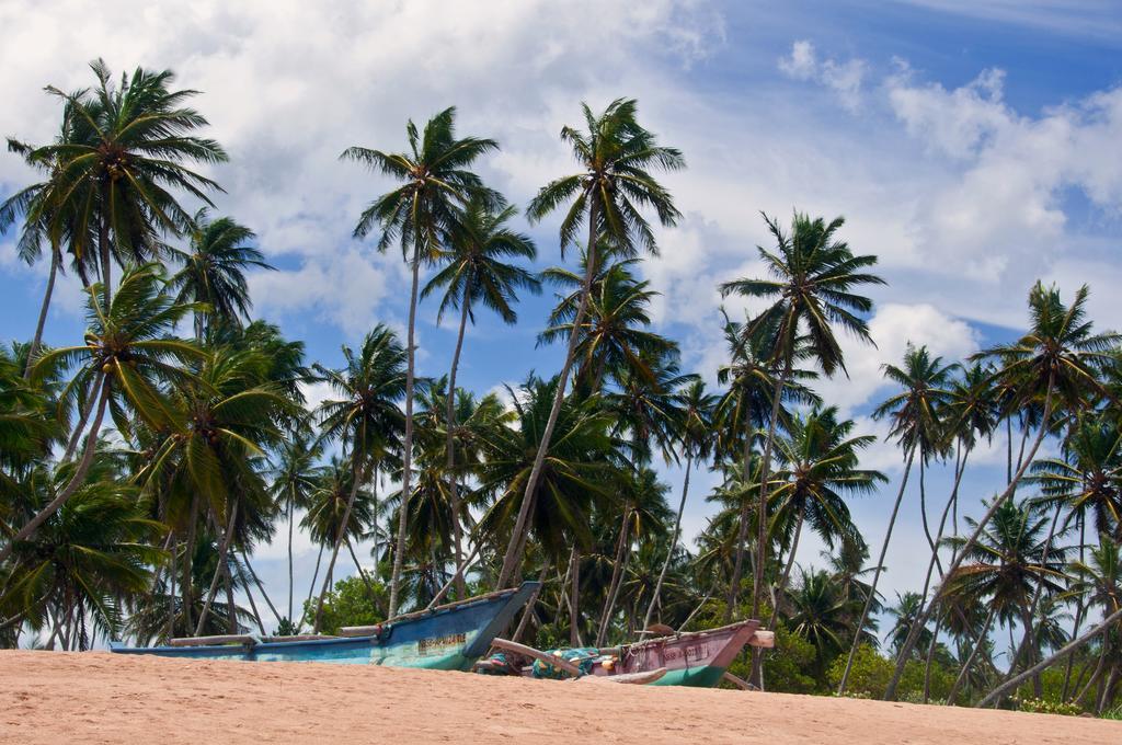 Sanjis The Seaside Cabanas Tangalle Exteriör bild